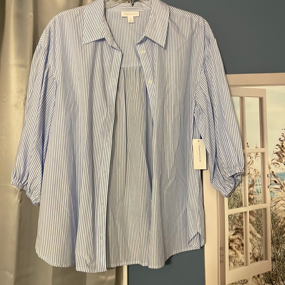 Blue and White blouse with White Buttons